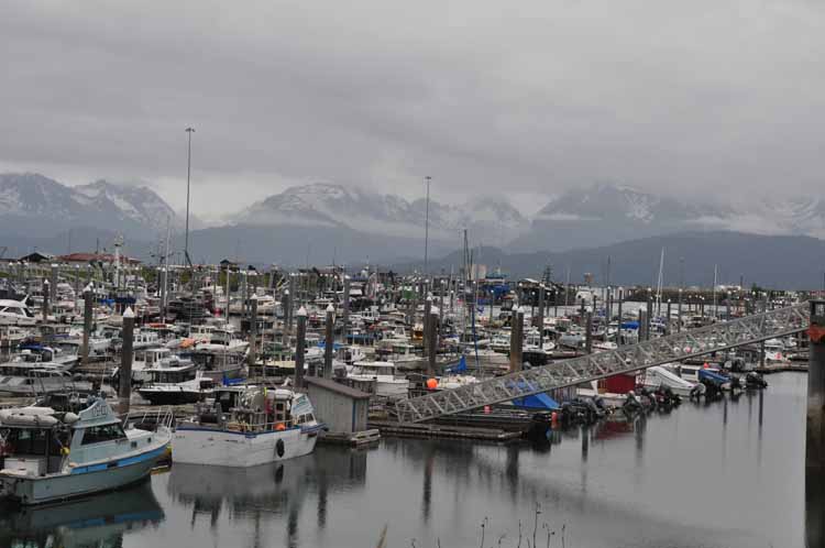 small-boat harbor